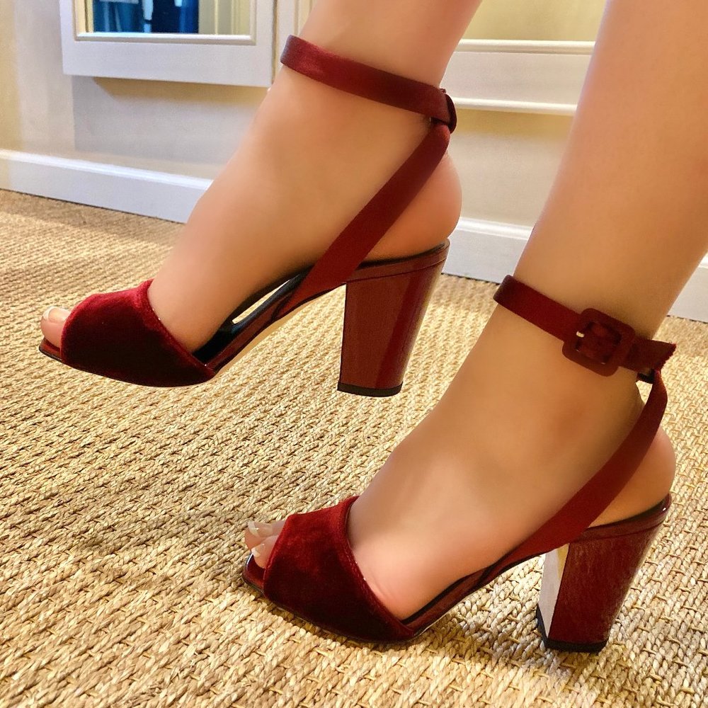 Giuseppe Zanotti Veronica Amaranto